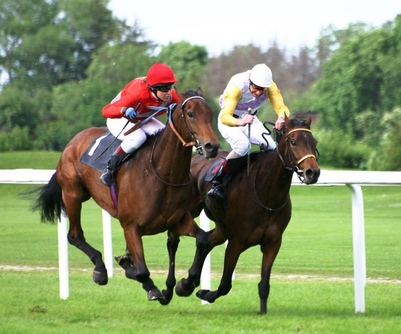 Análisis de campeones de carreras de caballos